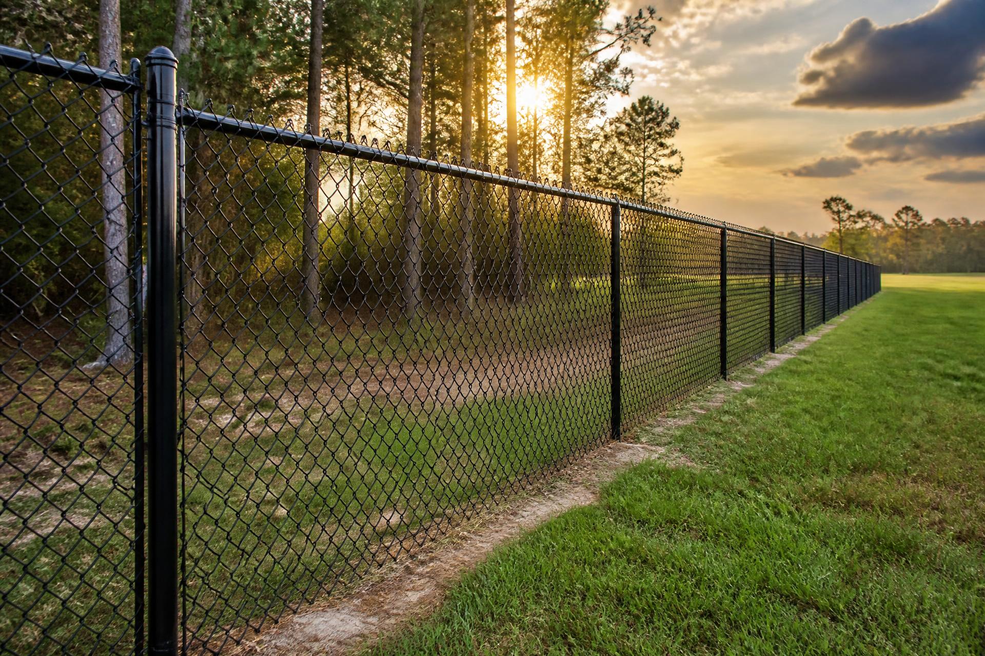 New black chain link fence installed along a wooded Alabama property line at sunset